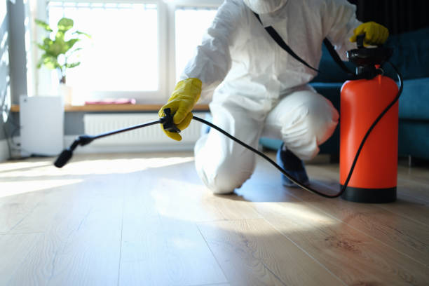 Reliable Odor Removal contractor in Ideal, GA by Crime Scene Cleaner Online